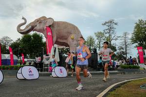 BIB: 
                            <button type="button" onclick="openModal(26528944)" class="btn btn-primary btn-sm float-right btn-popup" data-toggle="modal" data-target=".modal-high-quality">
                        <i class="fas fa-shopping-cart"></i> Add to Cart
                    </button>
                                            <button type="button" onclick="isThisMe(26528944, true)" class="btn btn-success btn-sm float-right btn-popup btn-isme hidden" data-toggle="tooltip" data-placement="bottom" title="นี่คือรูปของคุณใช่ไหม คลิกที่นี่เพื่อเอาเข้าอัลบั้ม">
                        <i class="fas fa-plus"></i> Add to album
                    </button>
                    <button type="button" onclick="isThisMe(26528944, false)" class="btn btn-warning btn-sm float-right btn-popup btn-isnotme hidden">
                        <i class="fas fa-ban"></i> Remove from album
                    </button>